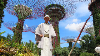 スーパーツリーグローブ