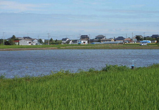 利根川 クチコミ・アクセス・周辺情報｜波崎・神栖 - フォートラベル