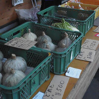 ホテルが推している朝市です