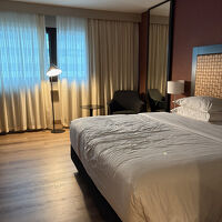 とても広く、スーツケースを広げても十分な広さでした。