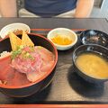三崎港で食べるまぐろ丼