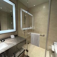 シャワーとバスタブが向き合っているのだけが使い難かった