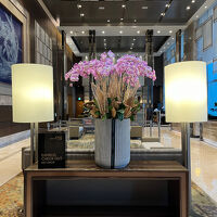 ロビーも明るくて雰囲気がよかったです