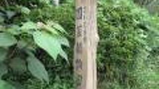 大崎園芸植物園