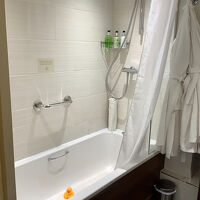 アヒルがお出迎え