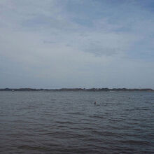 霞ヶ浦の風景