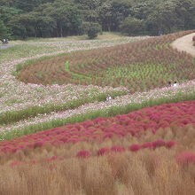 見晴らしの丘の風景