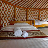 ゲルの中、シングルベッド2台