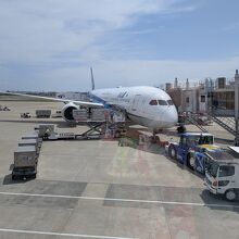 本日のNH767はB787にて運航。
