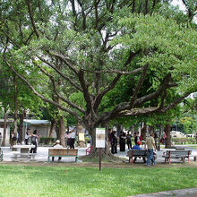 栄星花園公園の風景