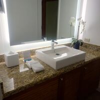 洗面スペースは十分。シンクが浅いので水ハネ注意