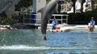 ザ カハラ ホテル & リゾート