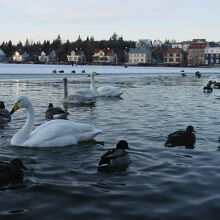 チョルトニン湖