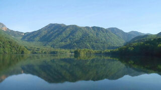 カケスが見られました。
