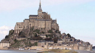 ズアオアトリが見られました。