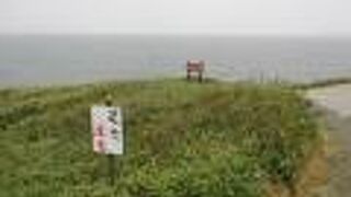 公園化により遊歩道が整備