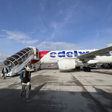 白色に赤とブルーの清潔感がある機体