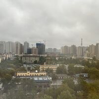 お部屋からの眺め