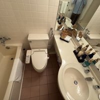 水回りはちょっと古め。