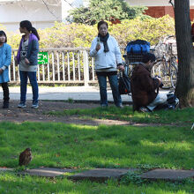 仙台堀川親水公園の風景