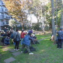 仙台堀川親水公園でバードウォッチングの人々
