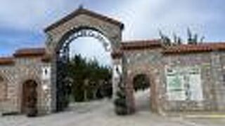 聖ナウム修道院