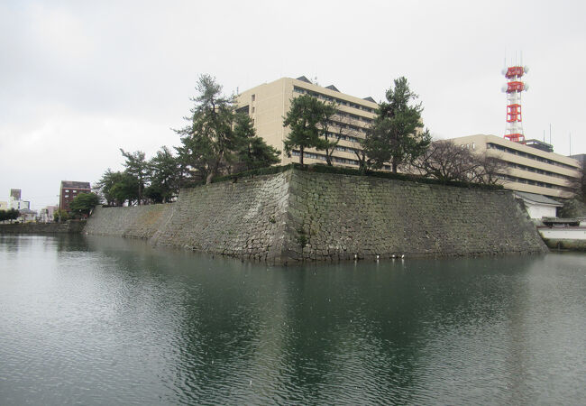 本丸と内堀の石垣が残っています