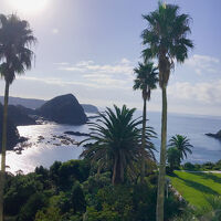 部屋からの眺めが南国リゾートのようでした。