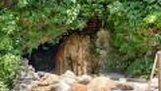 小川温泉元湯 ホテルおがわ