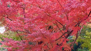 紀伊風土記の丘