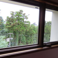 窓からは大雲院の木々が見えます