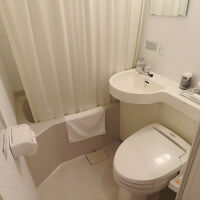 バスルームはユニットタイプ