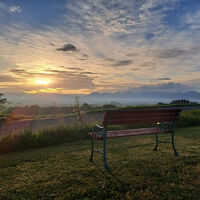 早朝、ペンションの前でみた朝日。素敵なベンチがありました。