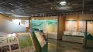 魚っちんぐプラザ