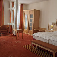 十分な広さです。床のカーペット敷きは残念ですが…