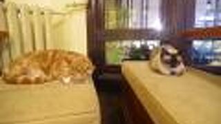 ザ カンビー ホステル ガスタウン