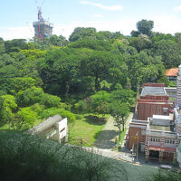 フォート・カニング・パーク側だったので丘の緑に癒される