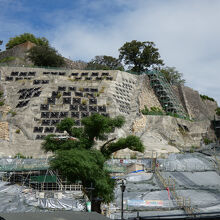 今しか見れない