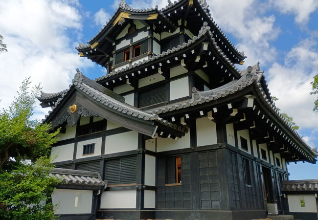 夜桜の名所に建つ三重の櫓