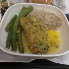 フィッシュです。