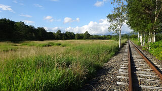 トロッコ王国美深