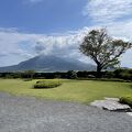 桜島がよく見えます