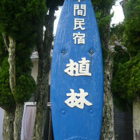 年間民宿植林