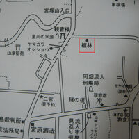 新島の年間民宿の植林は、前浜海岸から東に入っていきます。