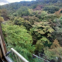 部屋からの眺め。紅葉には少し早く残念でした。