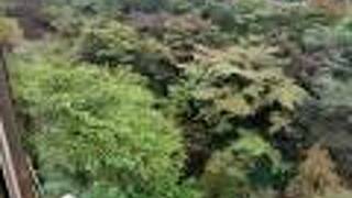 那須湯本温泉 湯川屋旅館 遊季荘