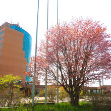 近くの釧路市生涯学習センター