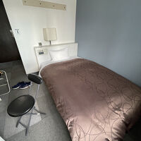 良くも悪くもなく、狭いです。