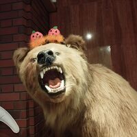 ハロウィン仕様の羆
