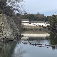 ホテルの目の前は彦根城